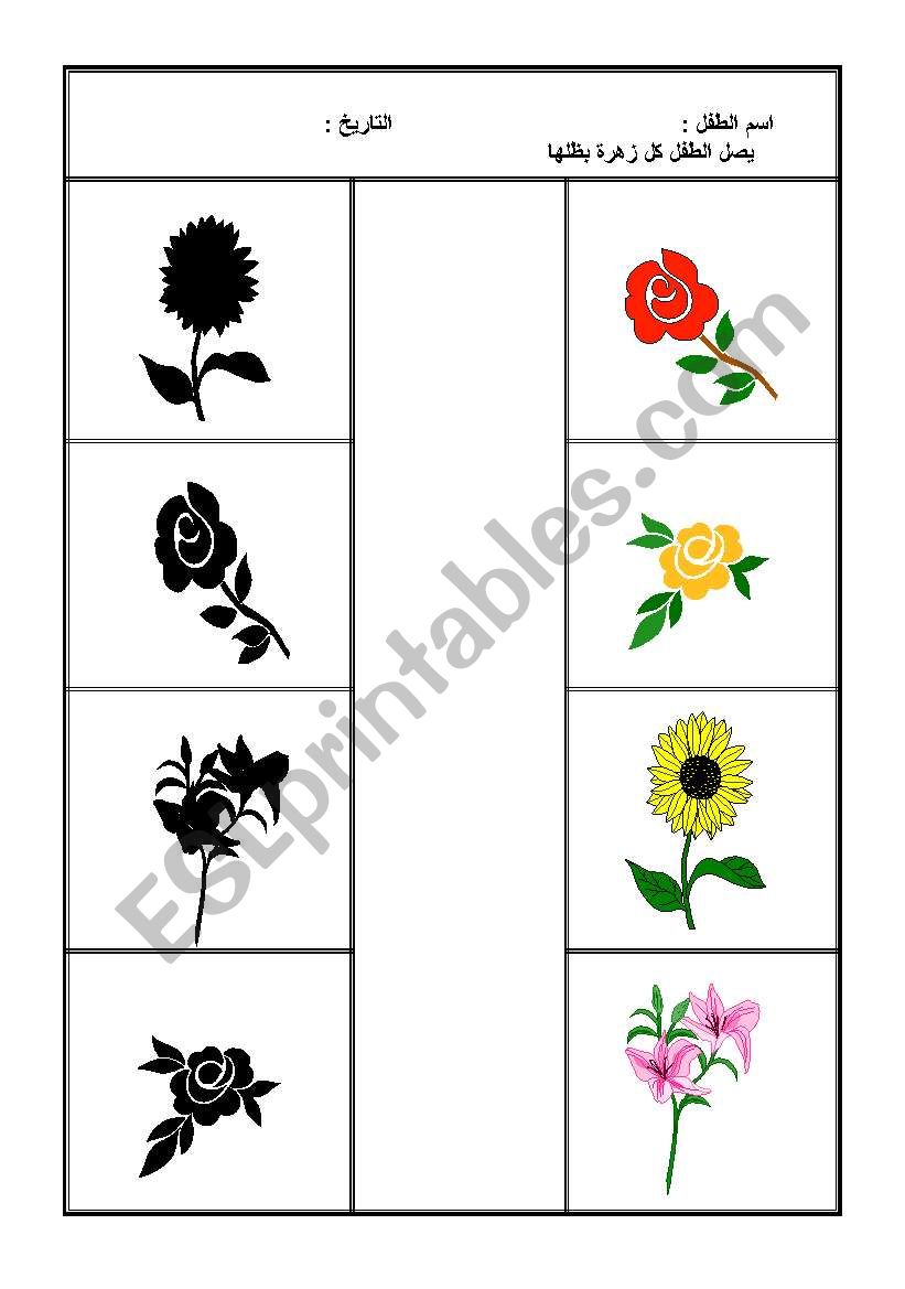 plant worksheet