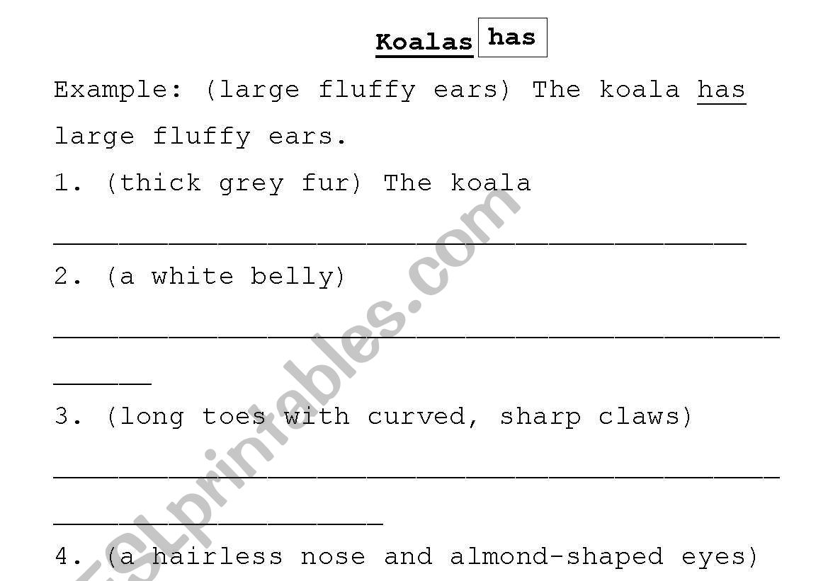 Koalas - making sentences with 