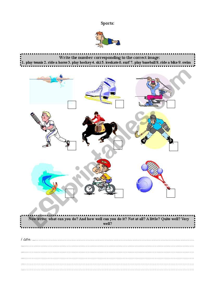 Sports worksheet