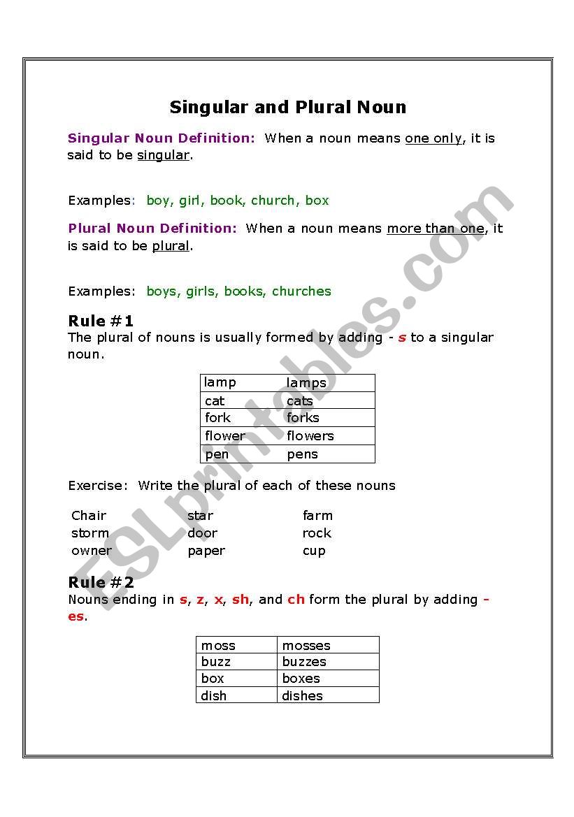 singular and plural noun worksheet