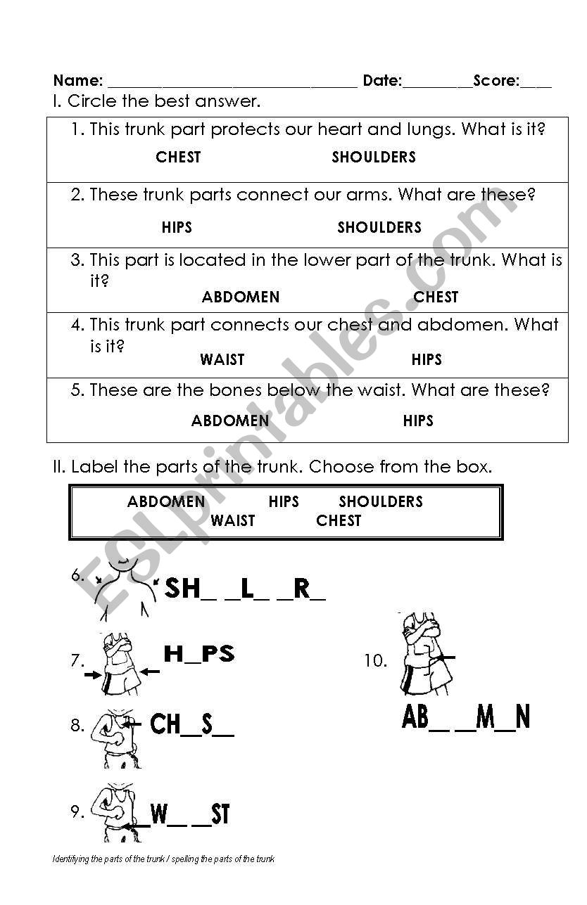 TRUNK Parts worksheet