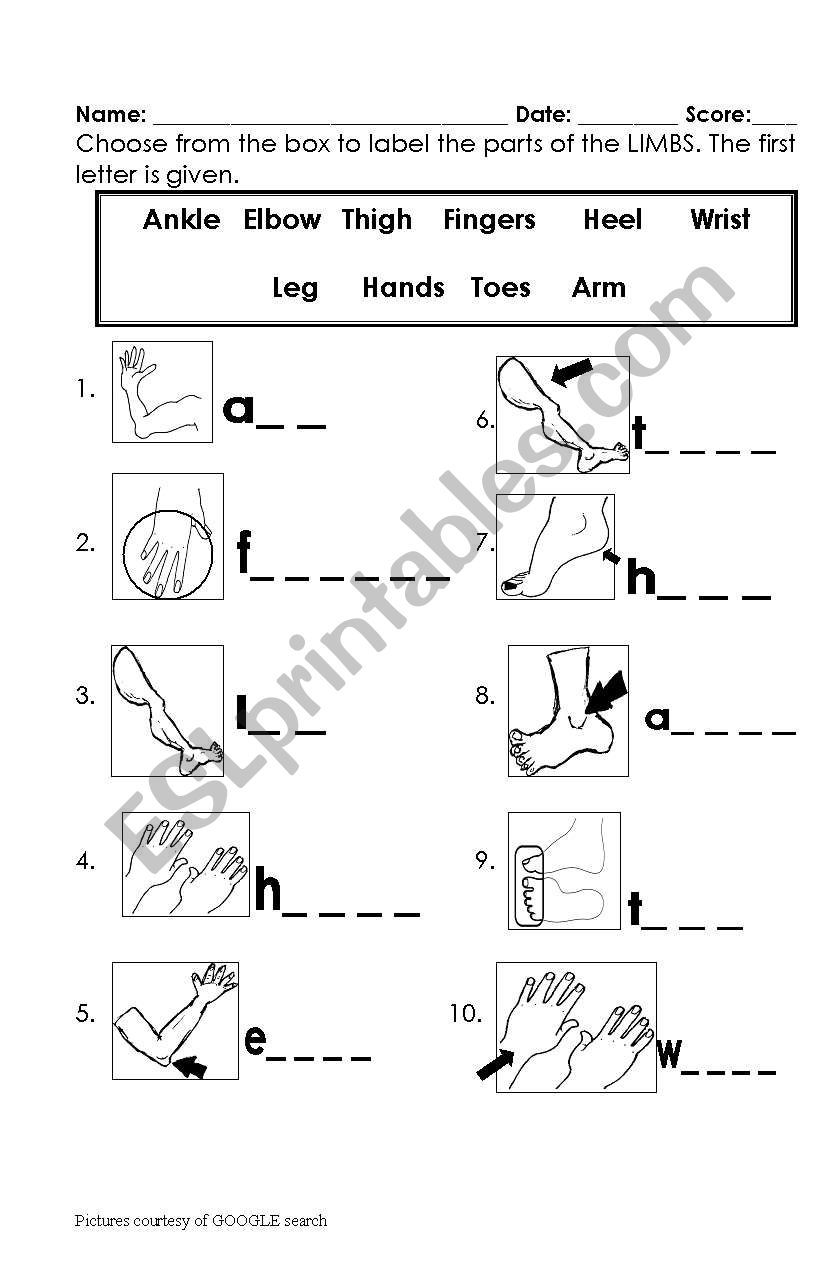 LIMBS spelling worksheet