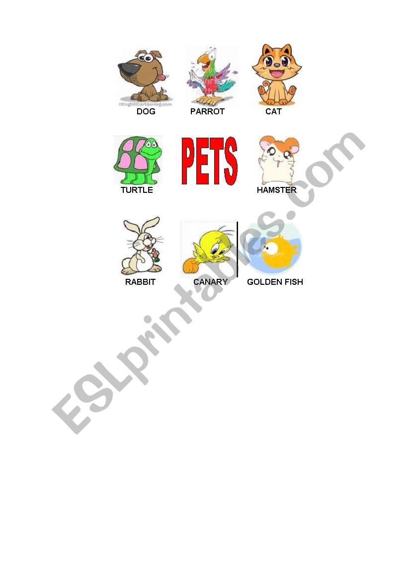 pets worksheet