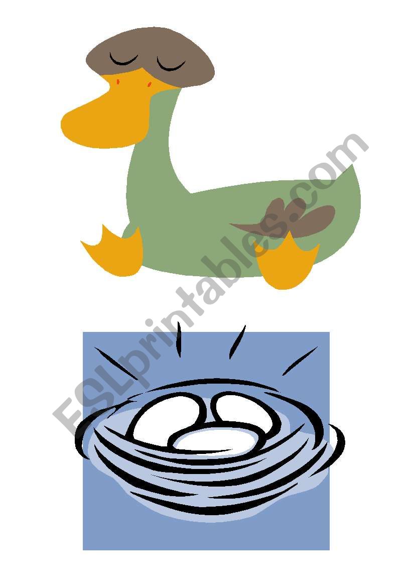 THE UGLY DUCKLING STORY - FLASHCARDS