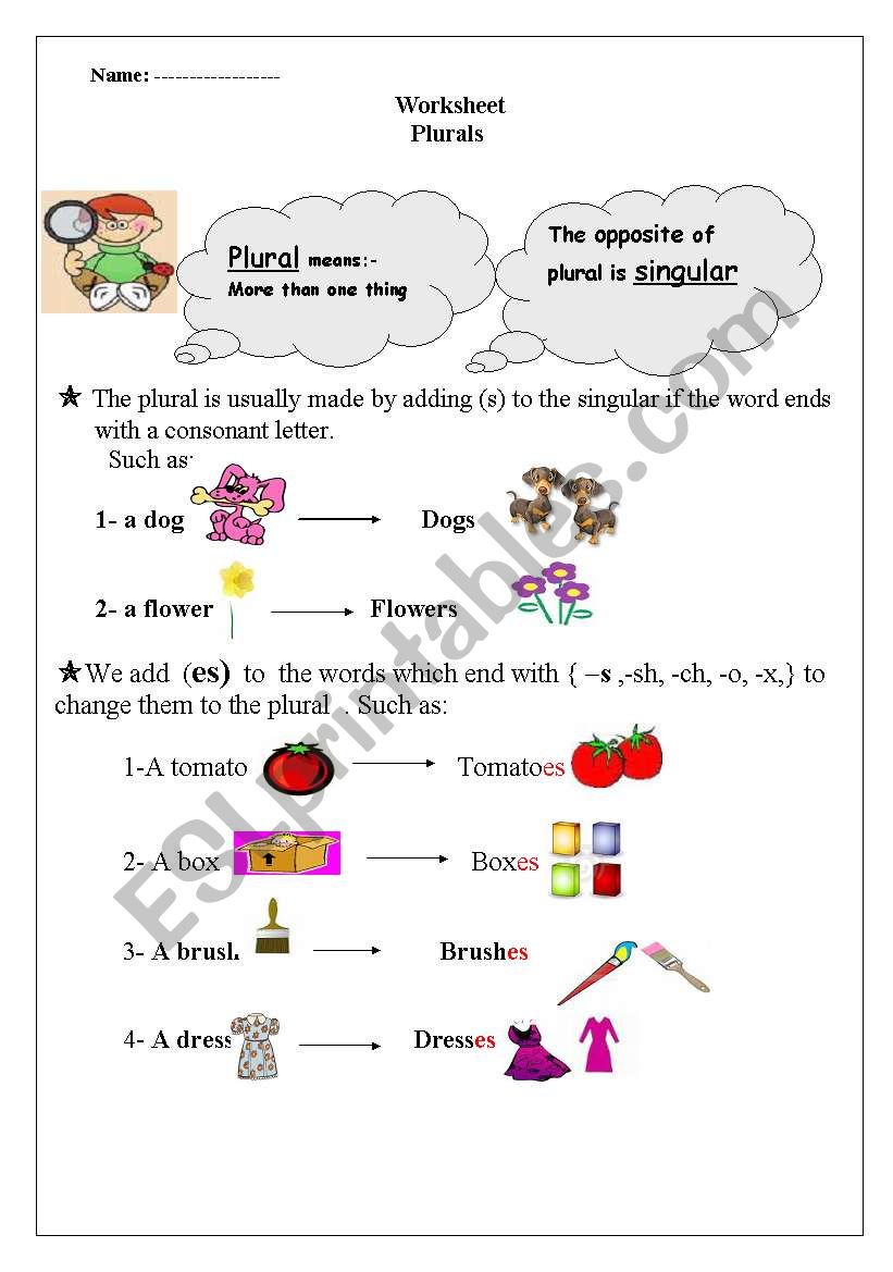 the plural worksheet