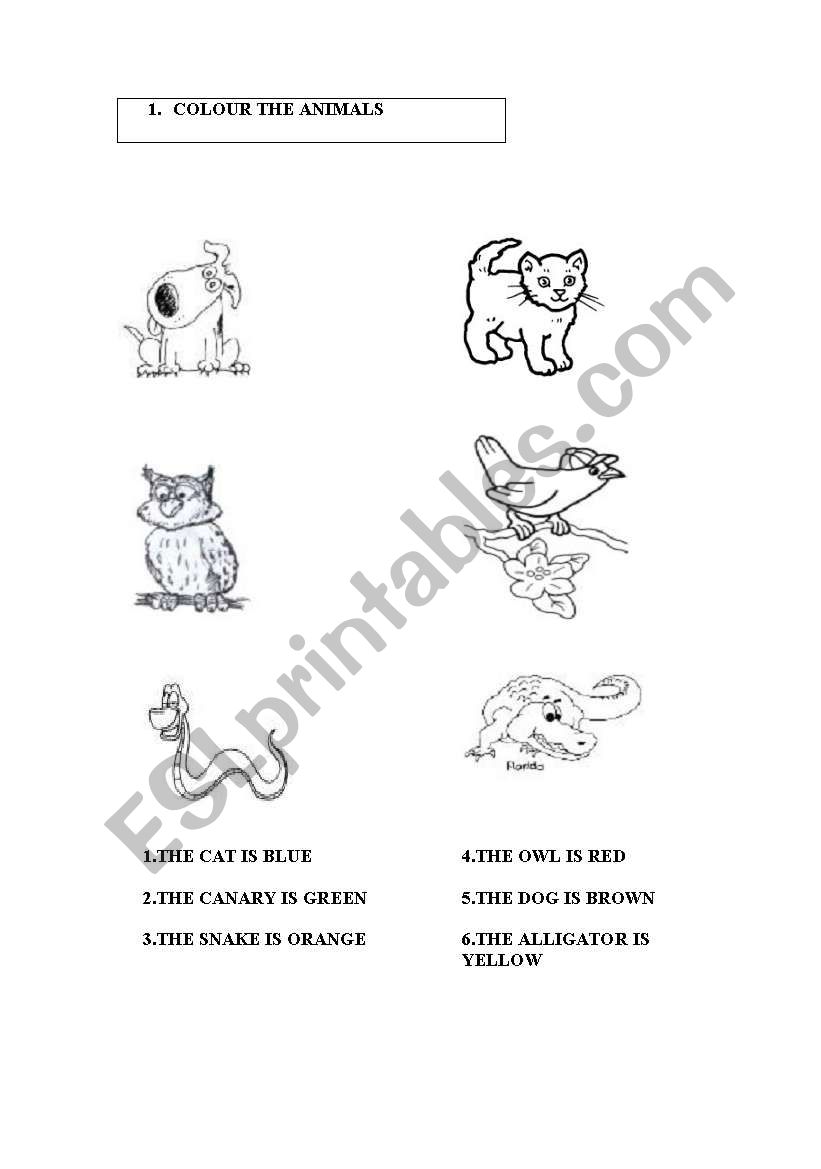 Read and colour the animals worksheet