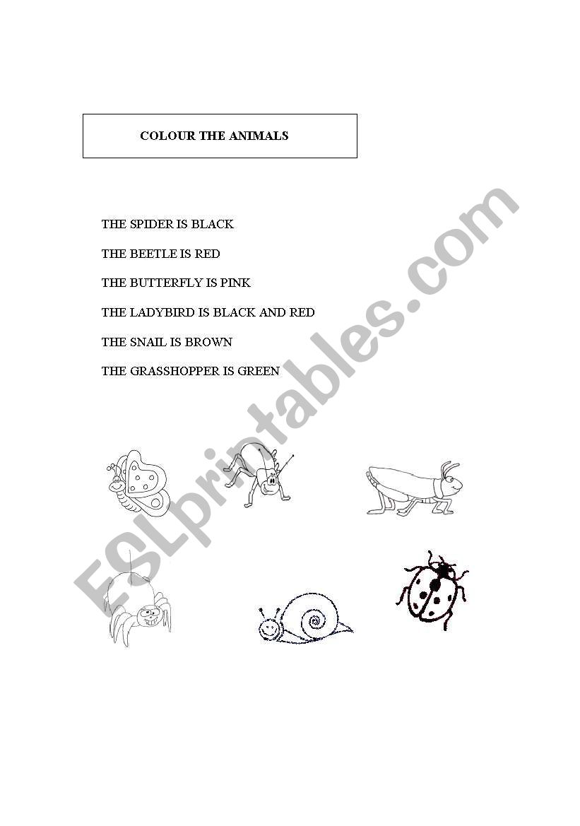 INSECTS worksheet