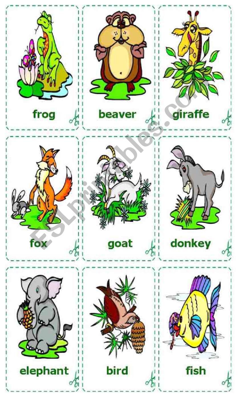 Animals Cards / flash-cards worksheet