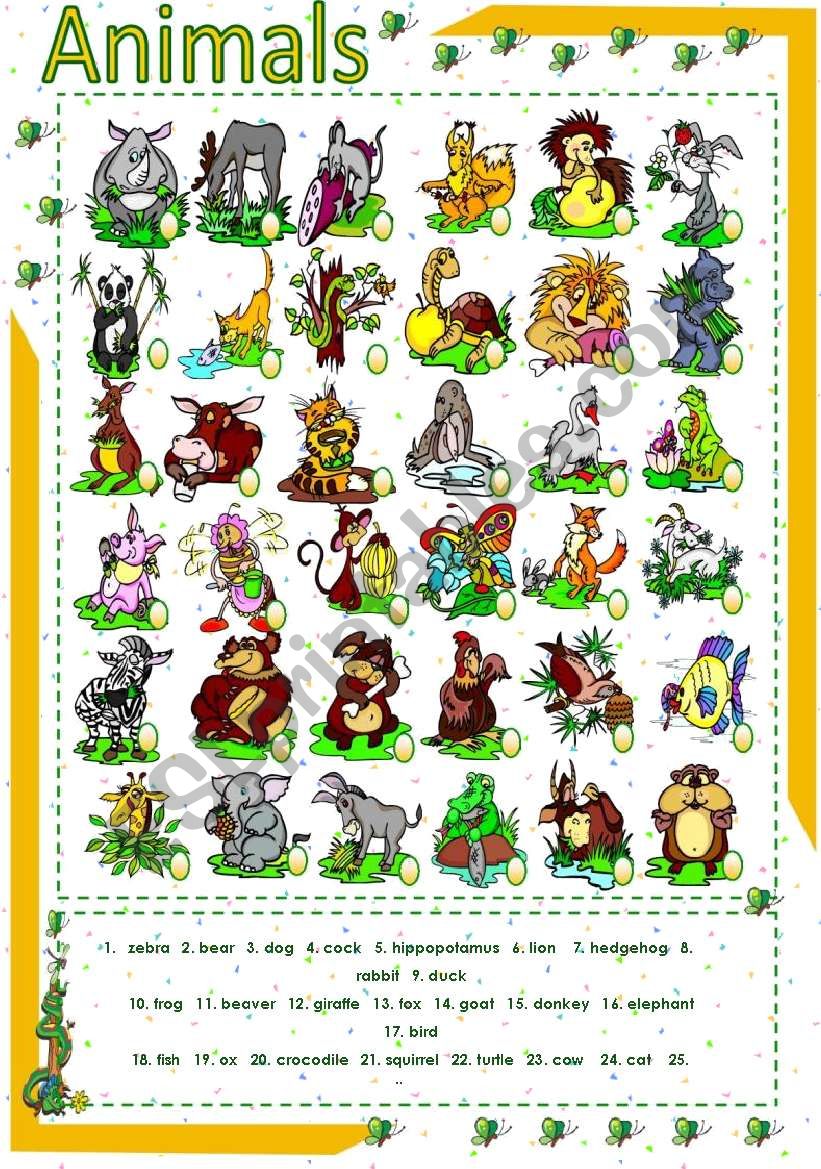 Animals  worksheet