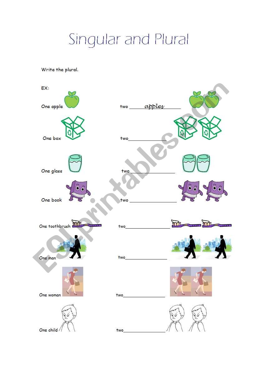 Singular and Plural worksheet