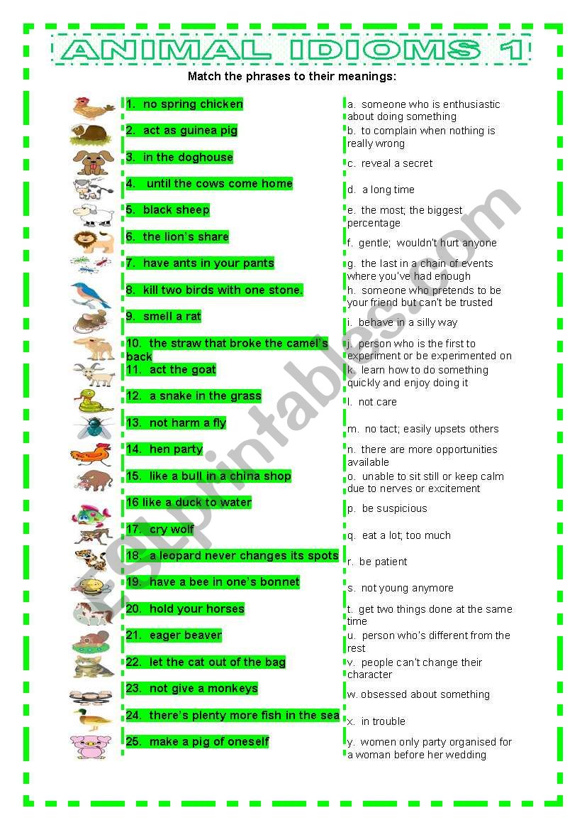 Animal Idioms 1 matching worksheet