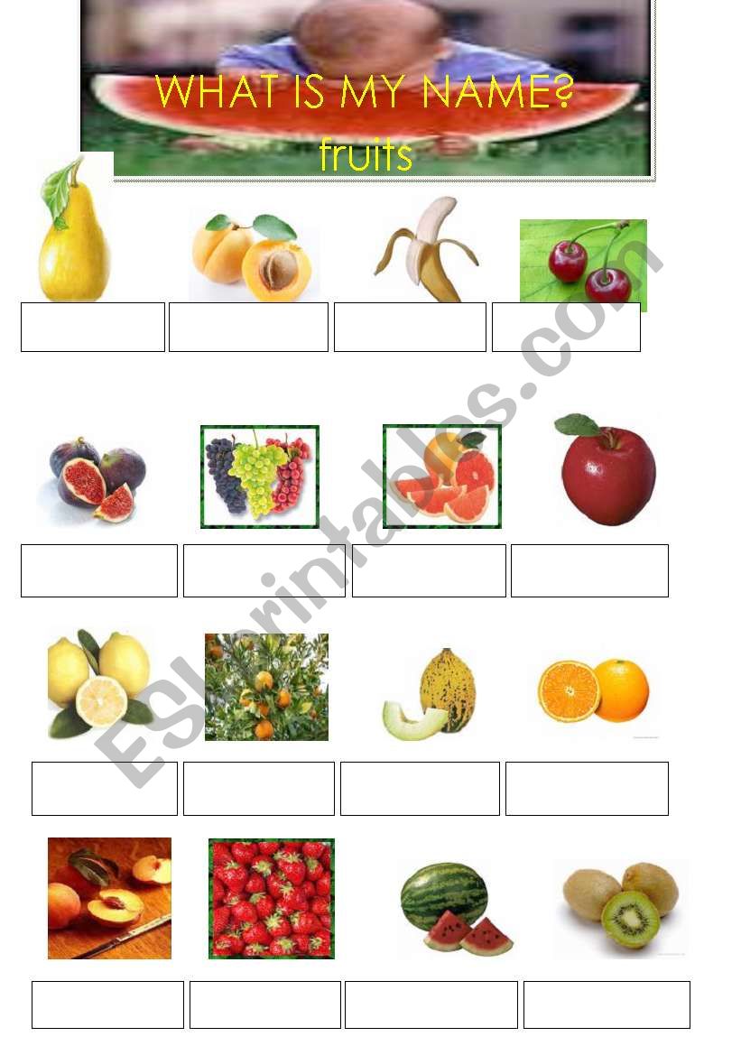 learning fruits worksheet