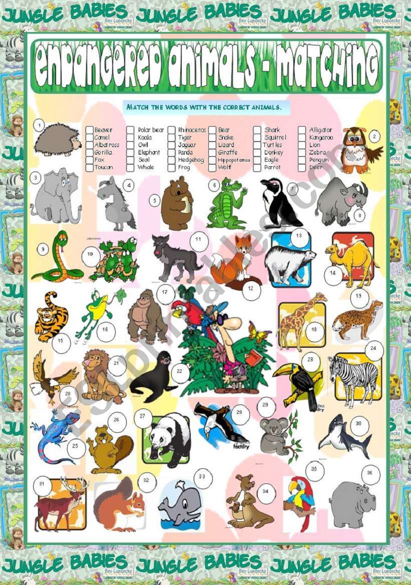 Endangered Animals - Matching worksheet