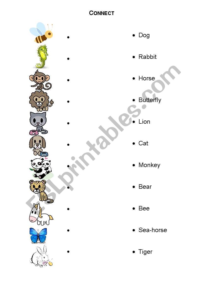 Animals connect worksheet