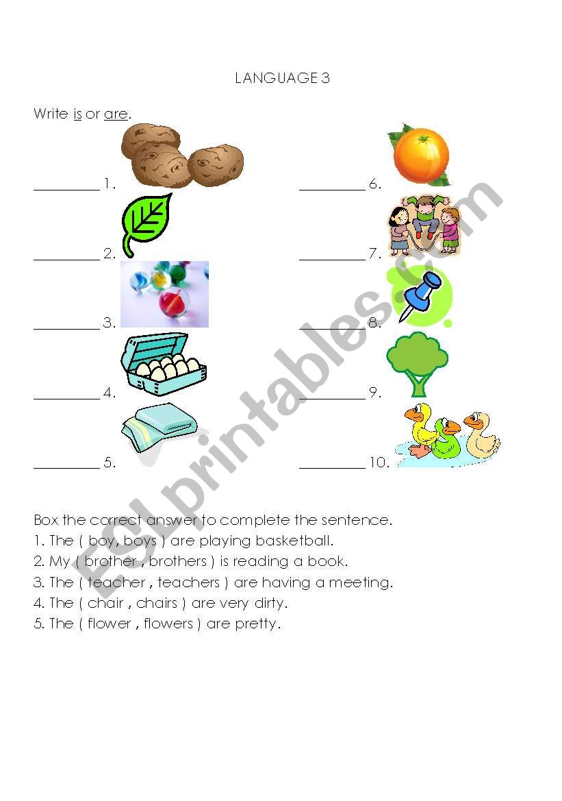 Plurals - is or are worksheet