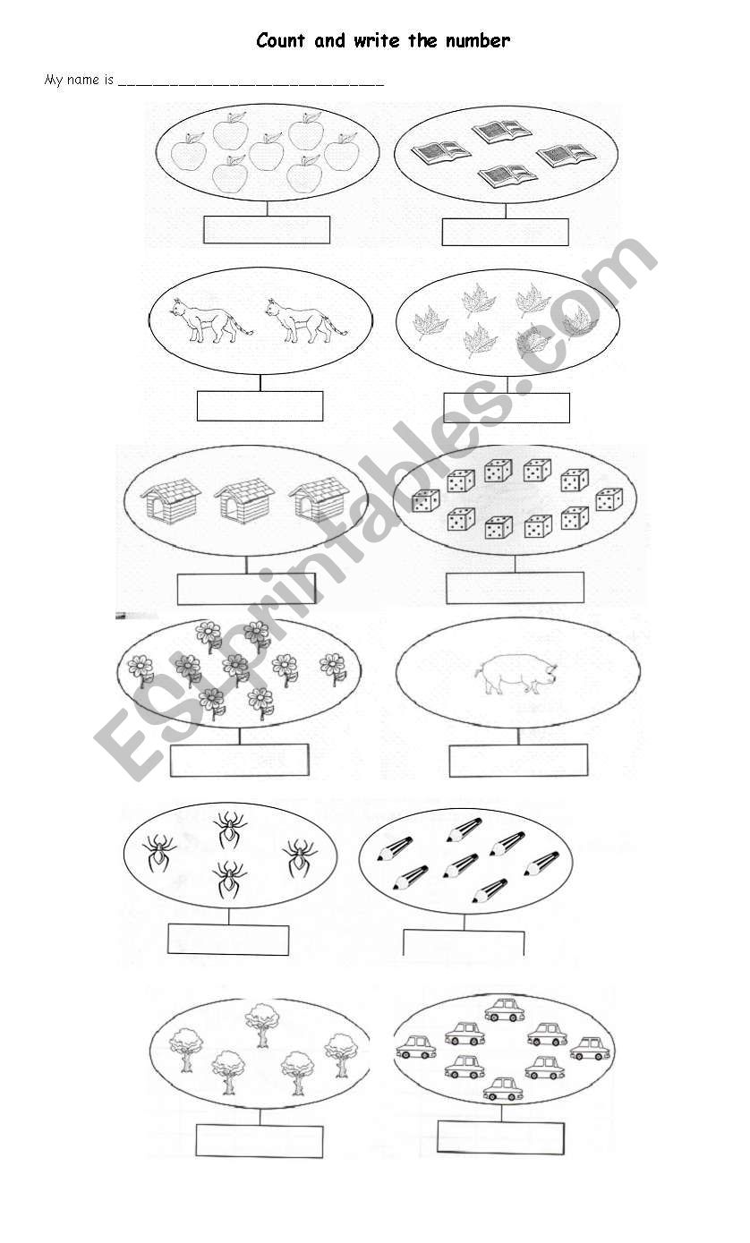  Numbers worksheet