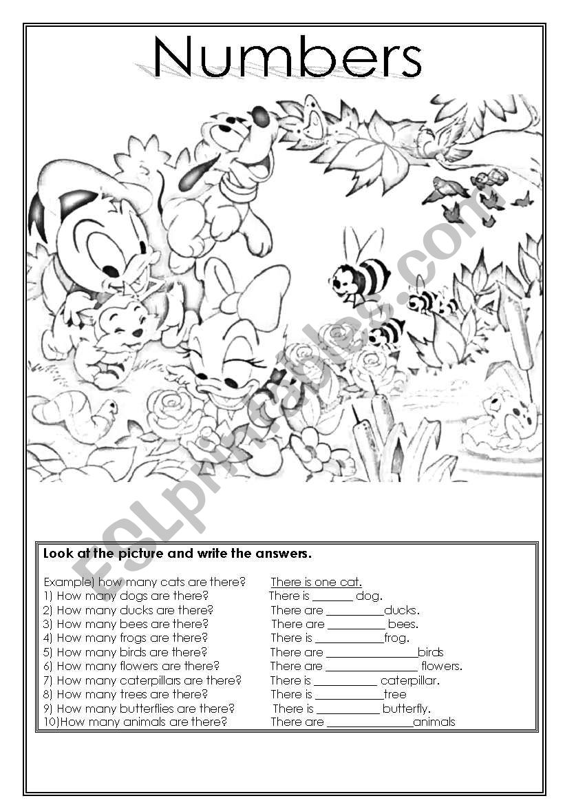 numbers 2 pages B&W edition worksheet