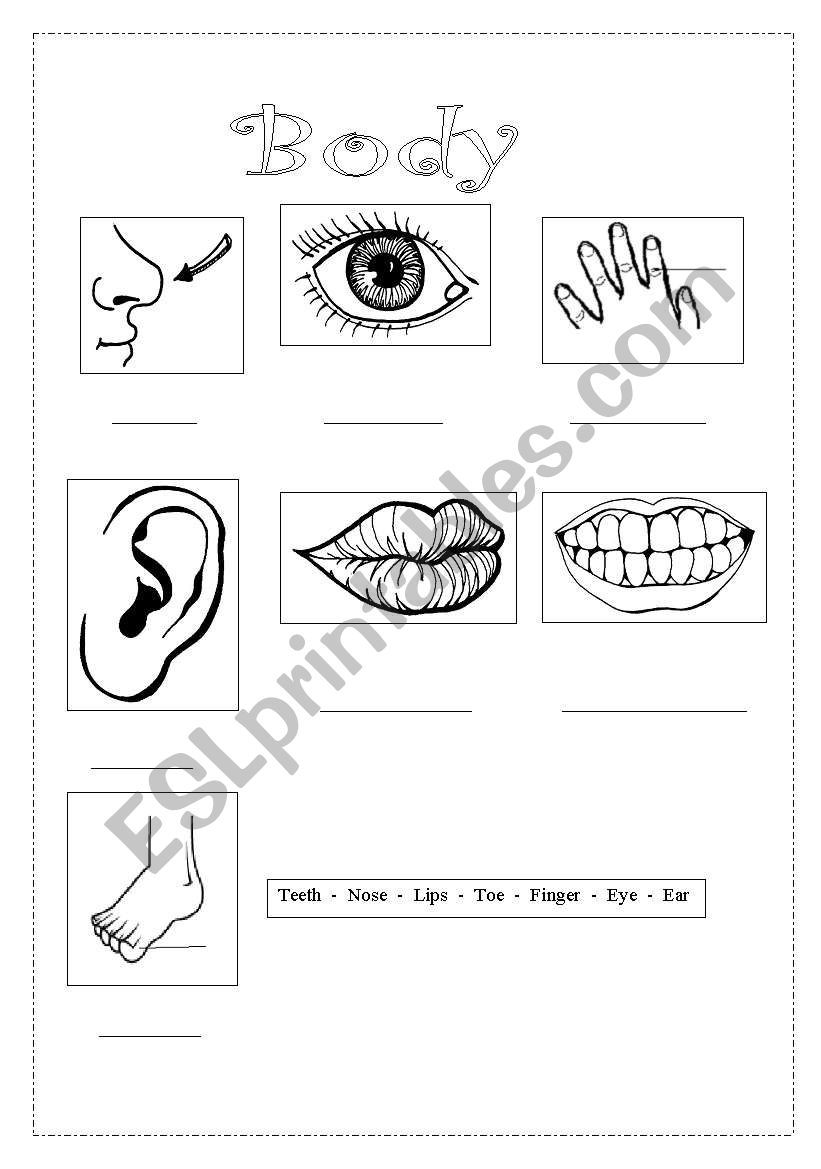 Parts of the body worksheet