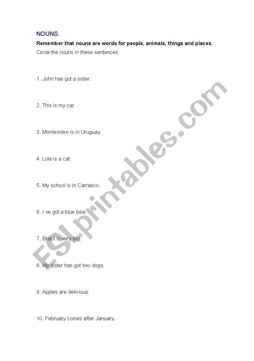 NOUNS worksheet