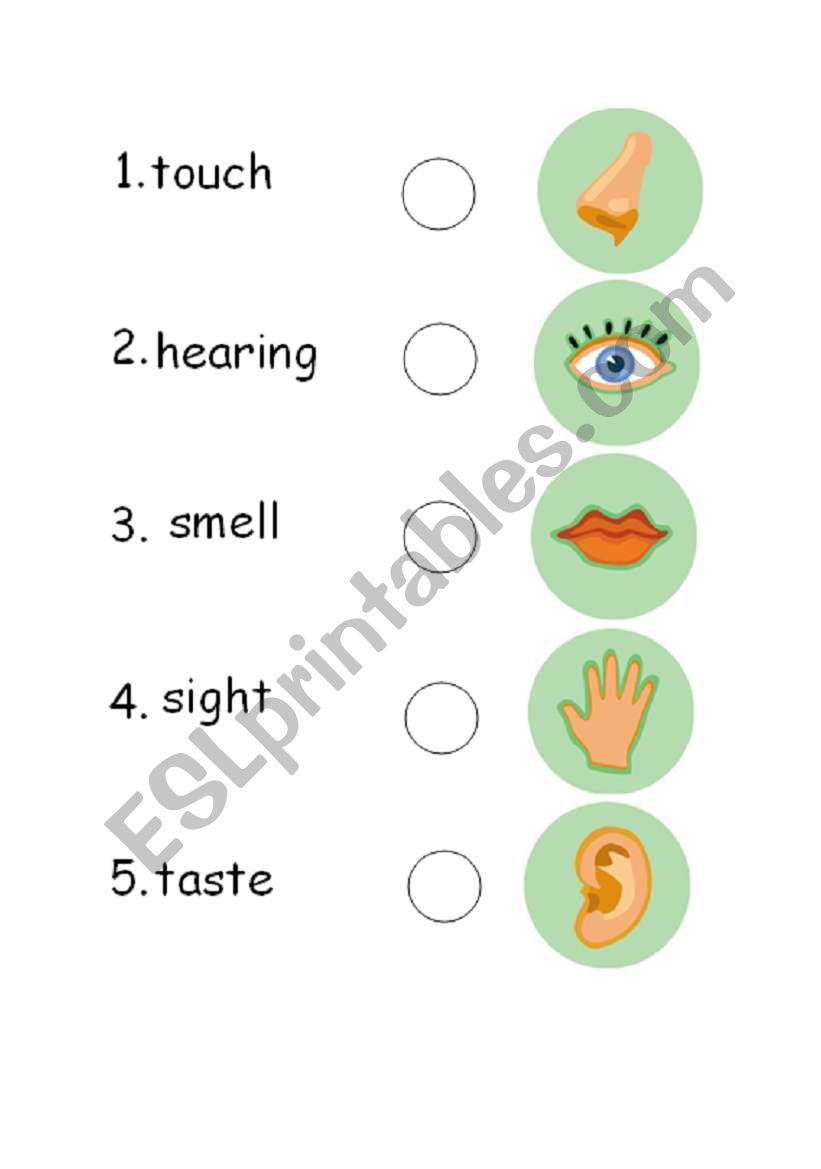 Five sense worksheet