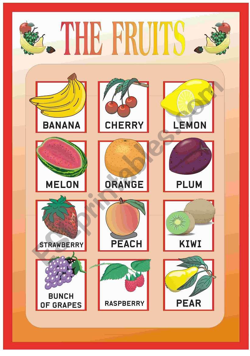 THE FRUITS worksheet