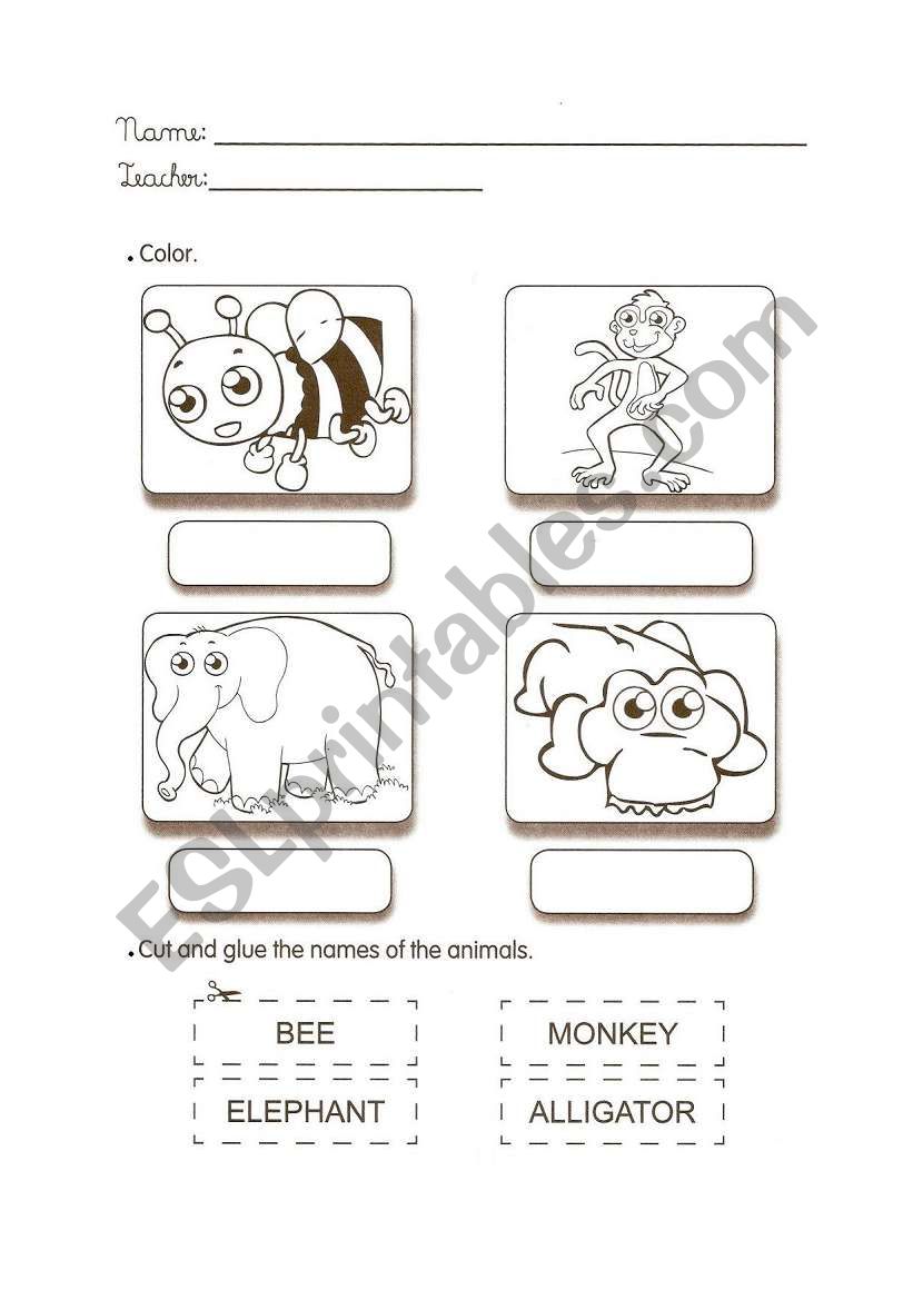 Animals worksheet