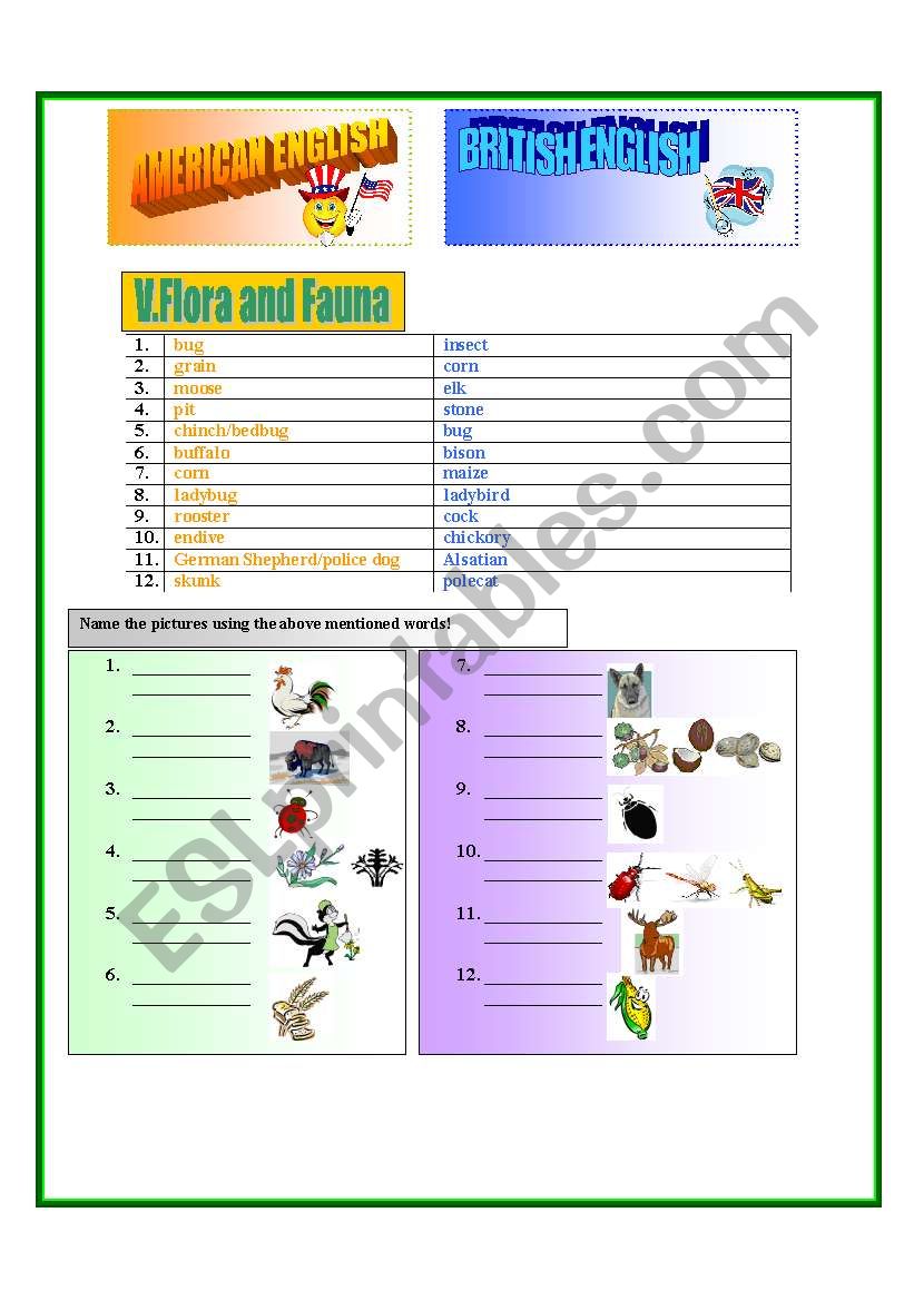 american-and-british-english-esl-worksheet-by-mokus19