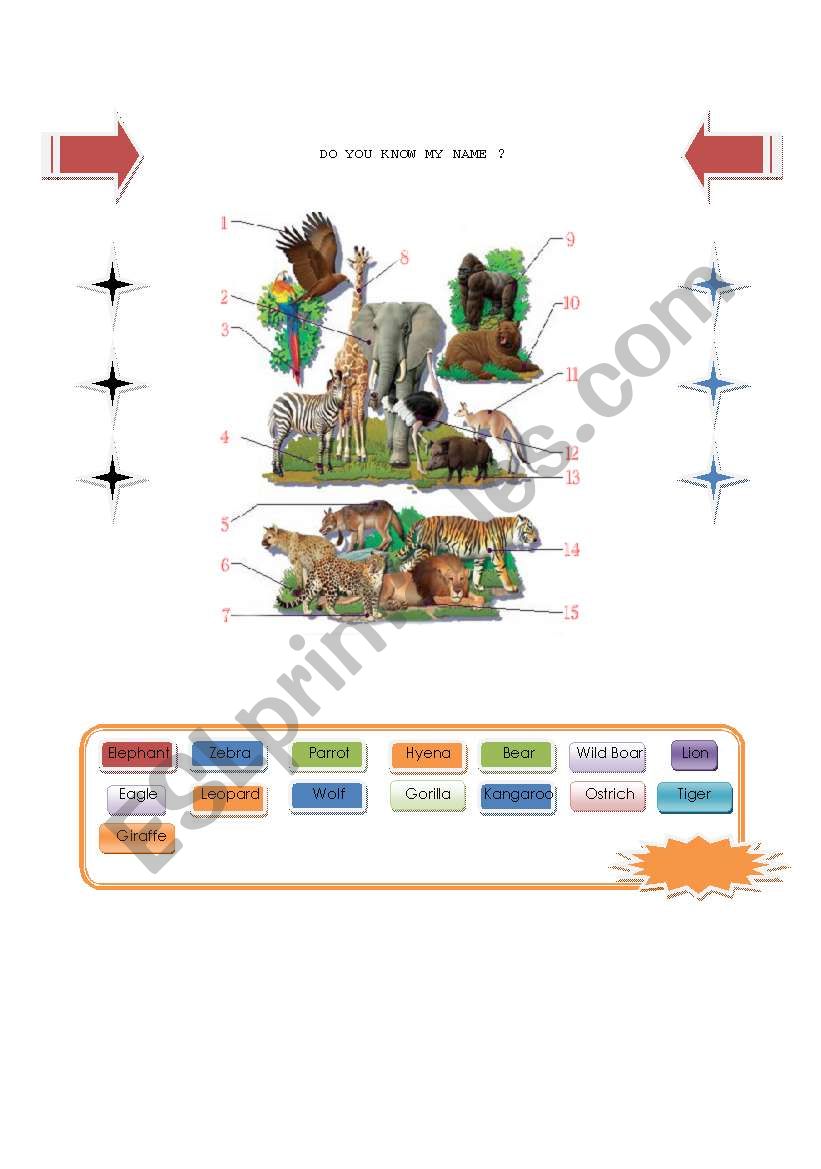 Animals worksheet