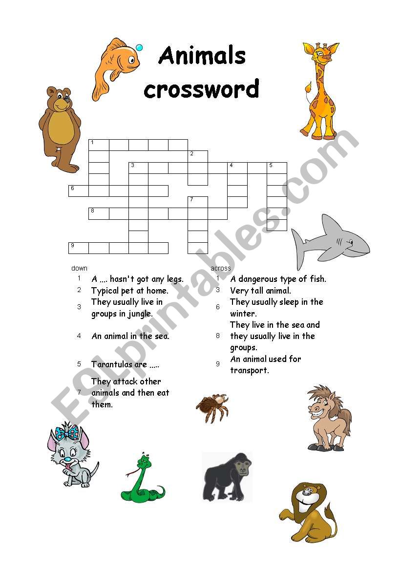 crossword - animals worksheet