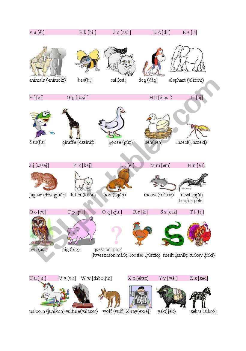 The English Alphabet  worksheet