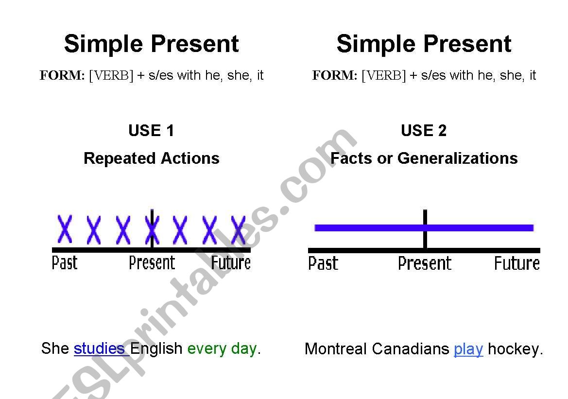 Verb Tenses Workbook worksheet