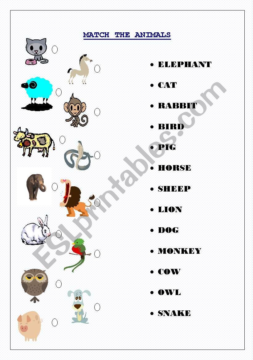 Match the Animals & 2nd page Unscramble & match the animals