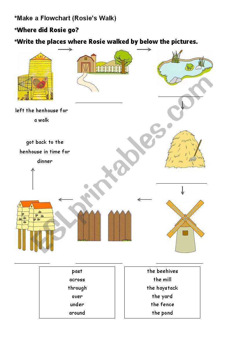 Rosies Walk Worksheet(Make a flowchart)