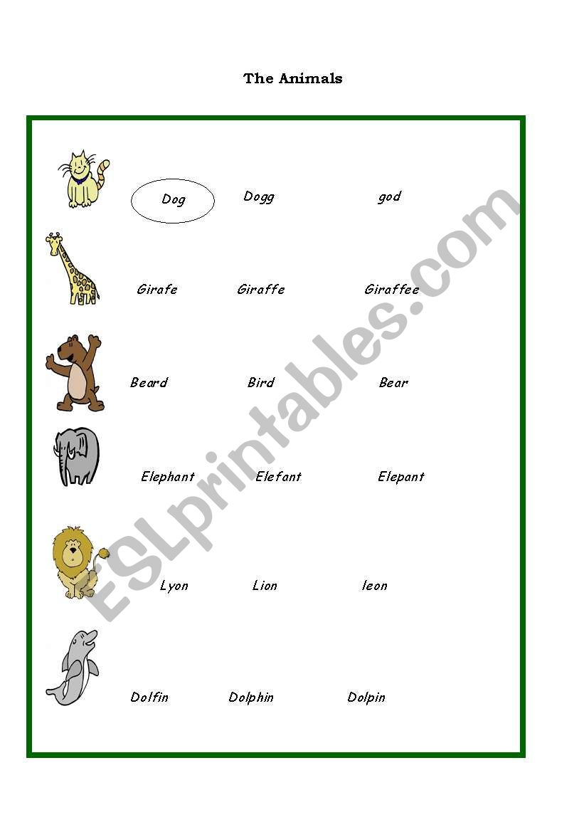 The animals worksheet