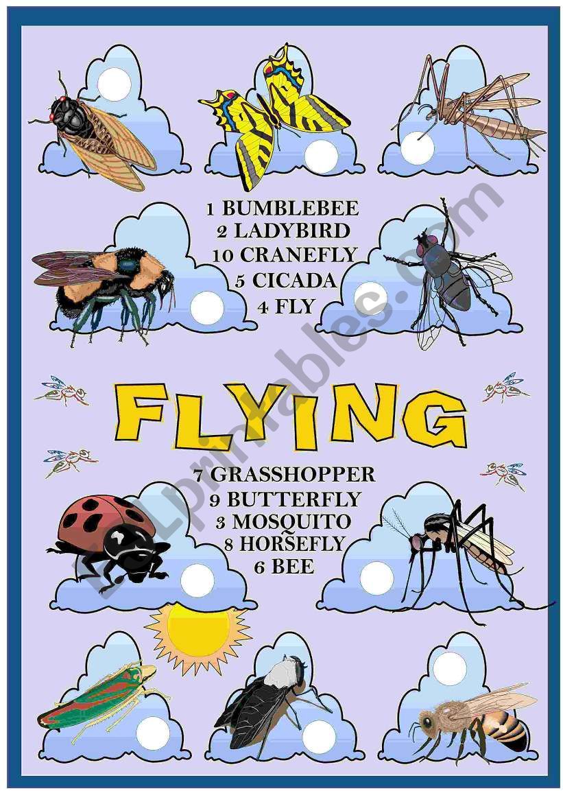 FLYING worksheet