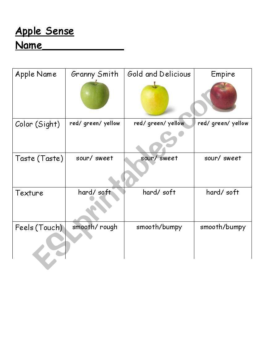 Classifying Apples worksheet