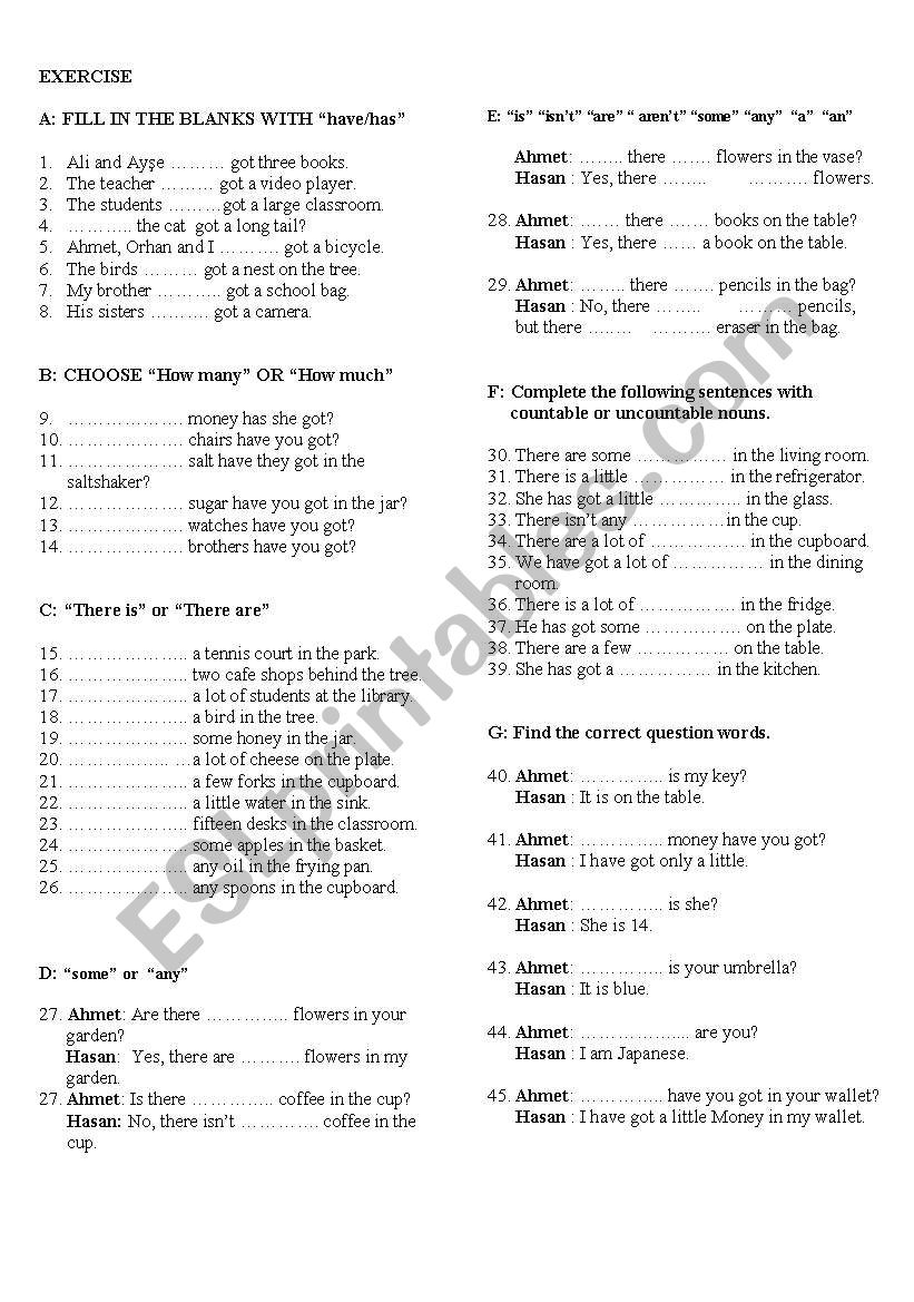 exercise worksheet