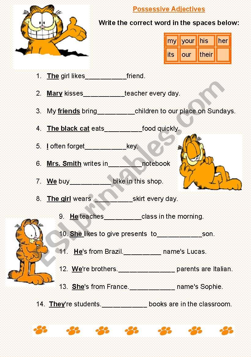 Possessive adjectives worksheet