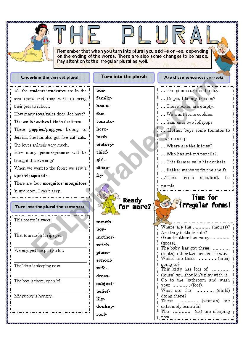 THE PLURAL Exercises worksheet