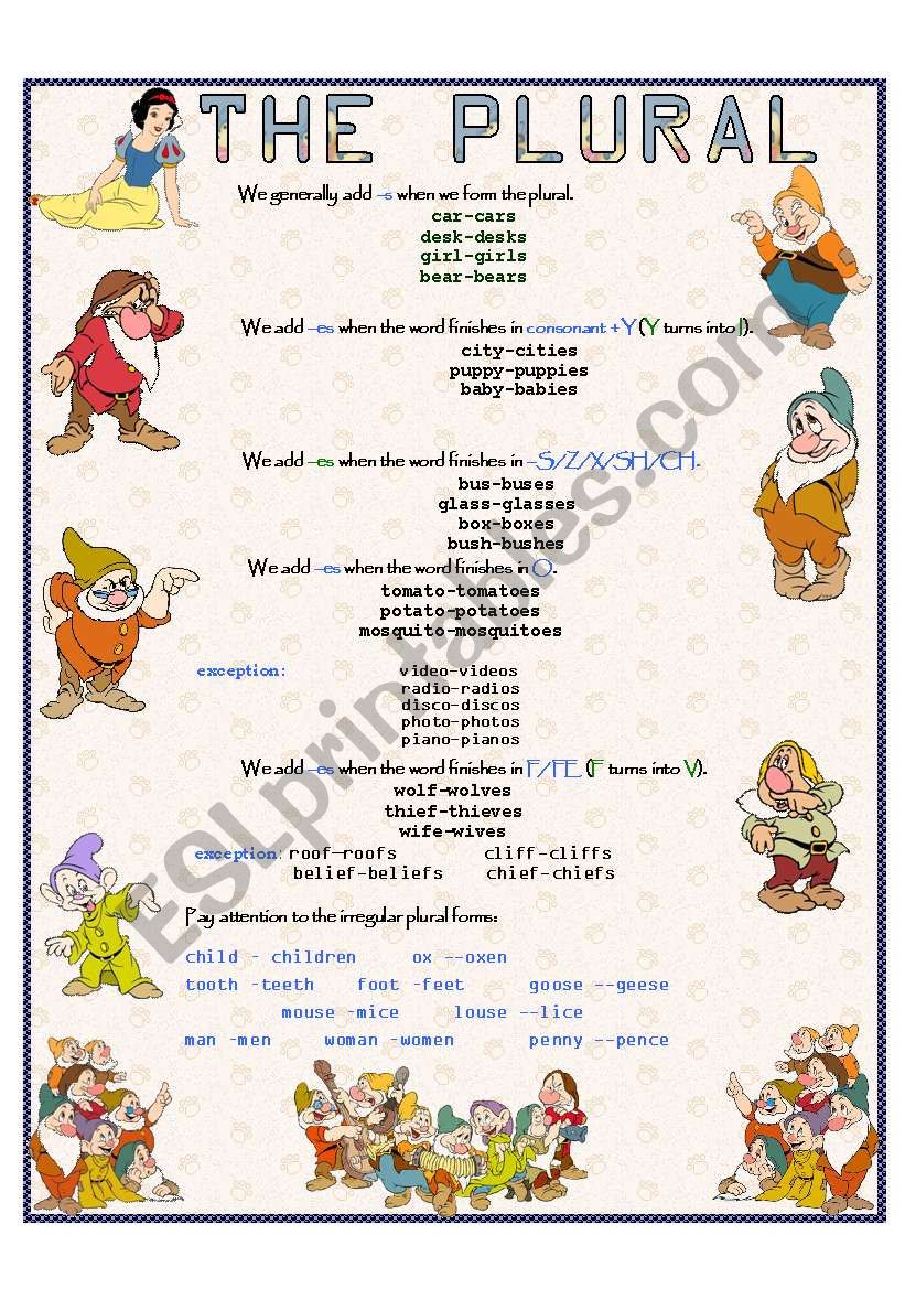 THE PLURAL  worksheet