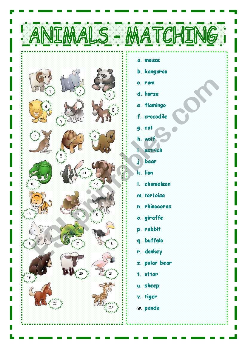 Animals matching worksheet