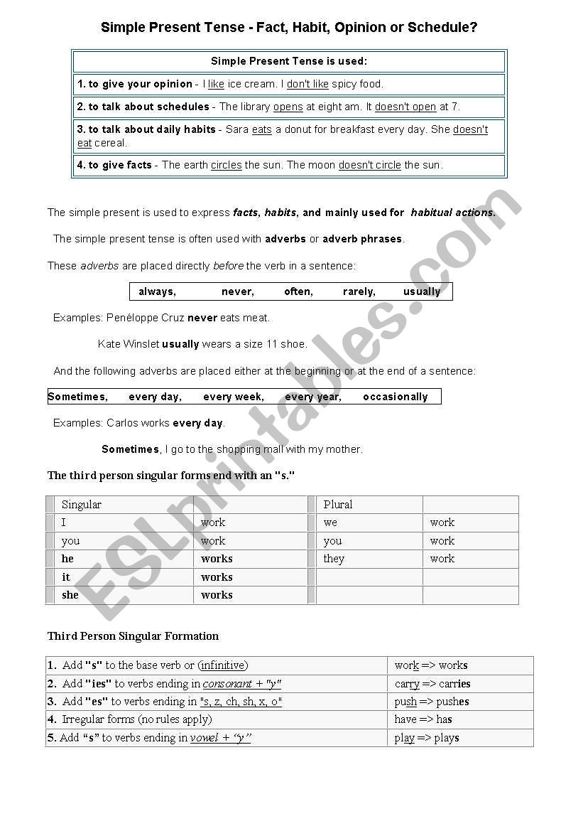 Simple present worksheet