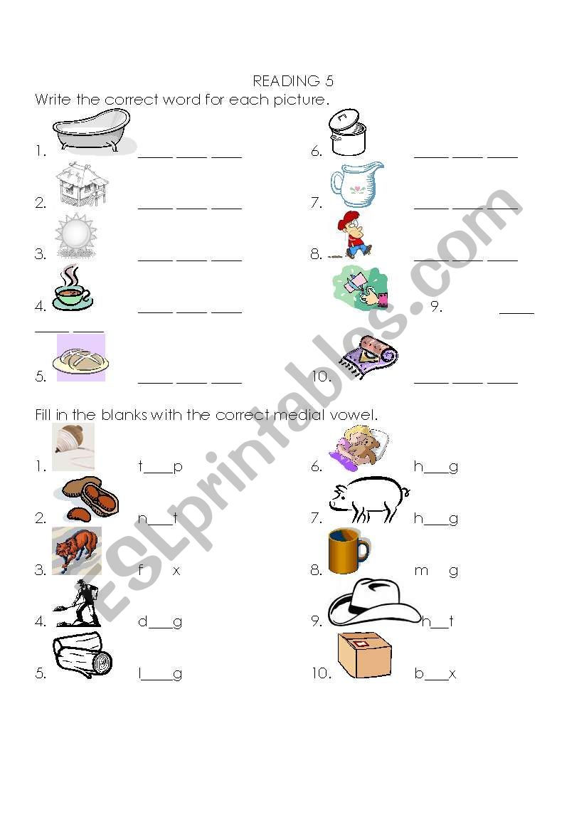 Medial vowel u worksheet