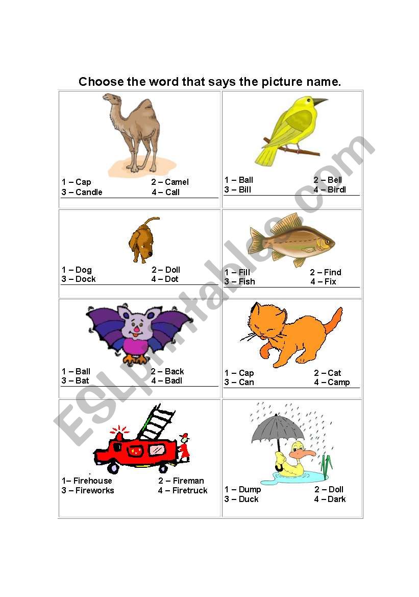 choose the best answer worksheet