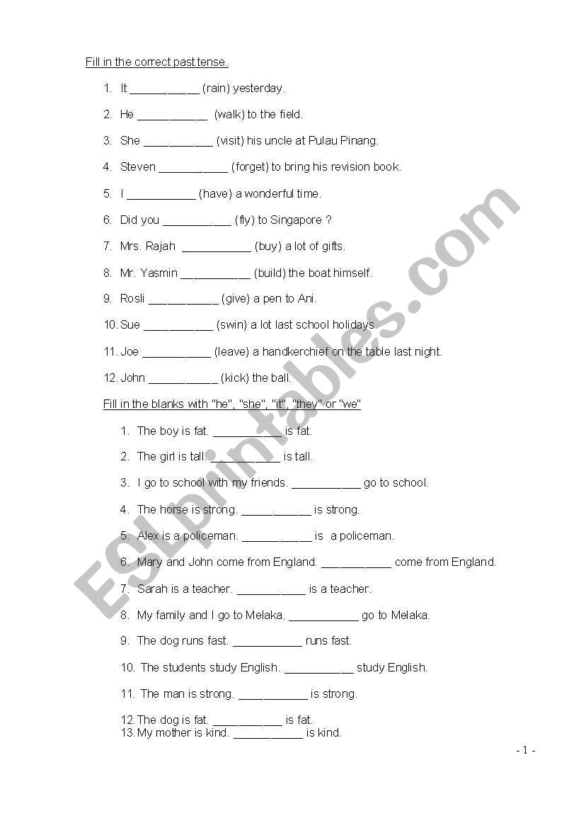 Past Tense, Pronouns & Places Exercise