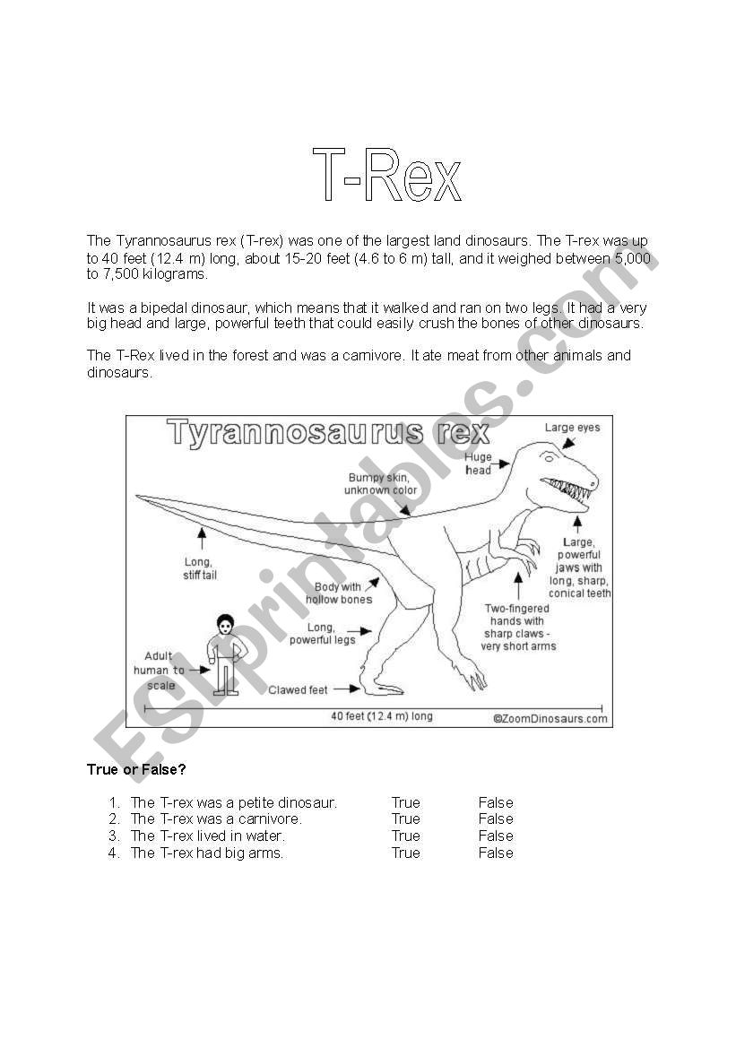 T-Rex worksheet