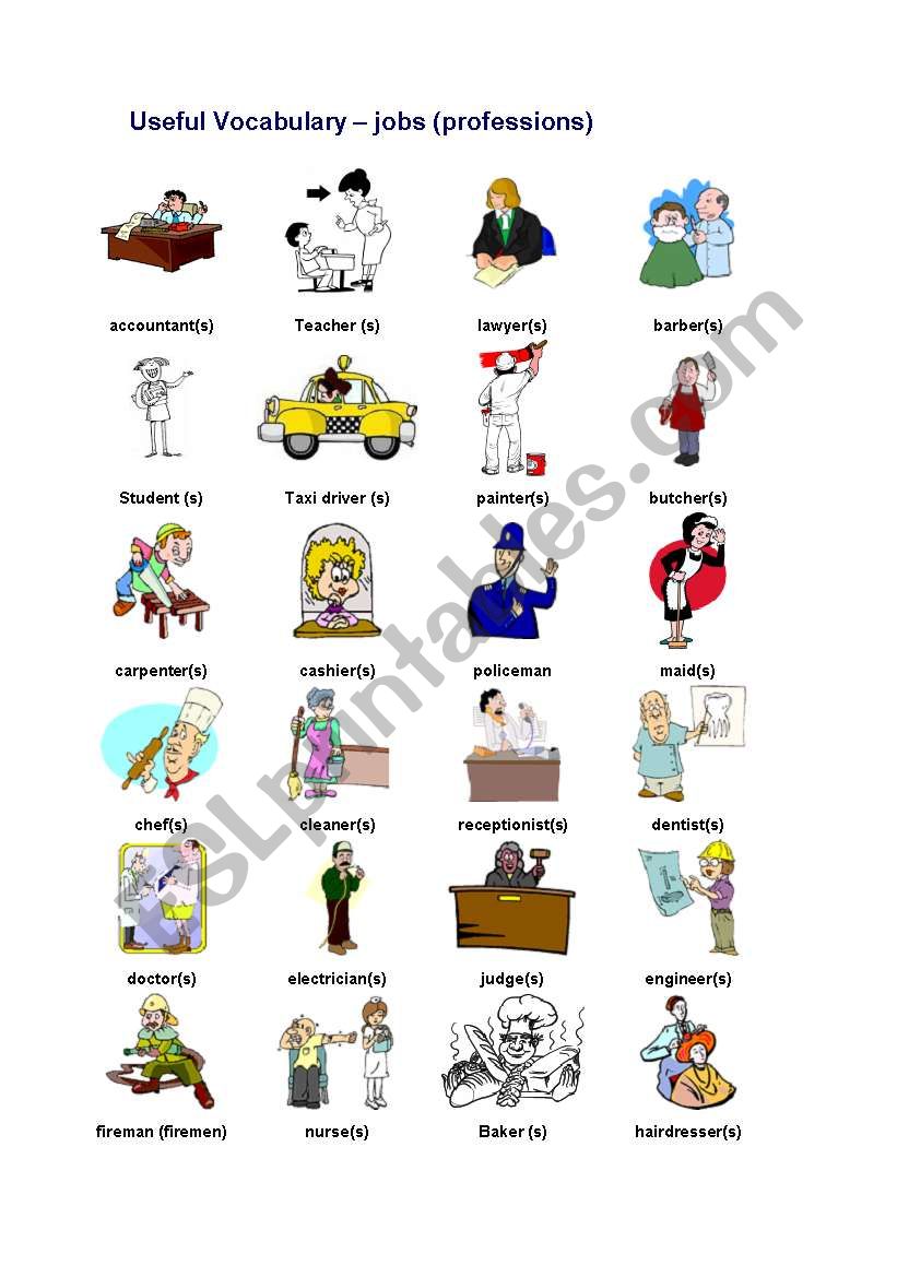 jobs vocabulary worksheet