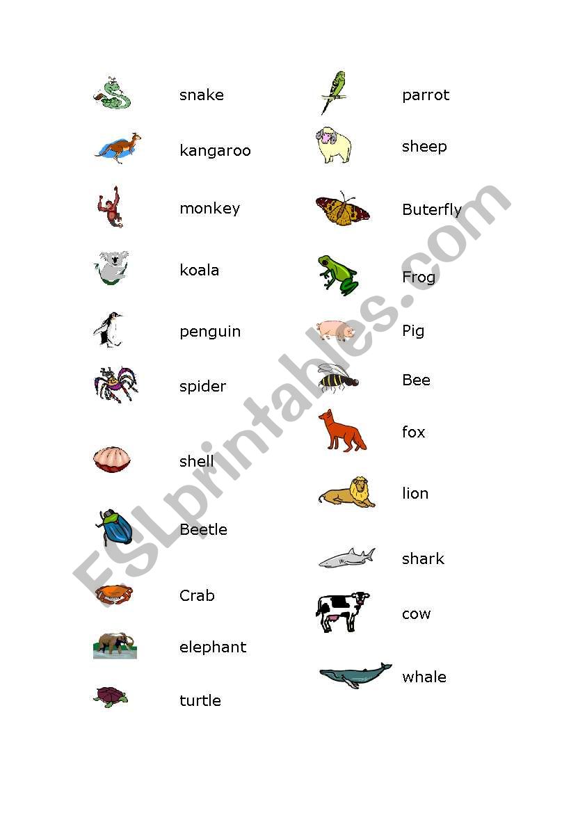 animals worksheet