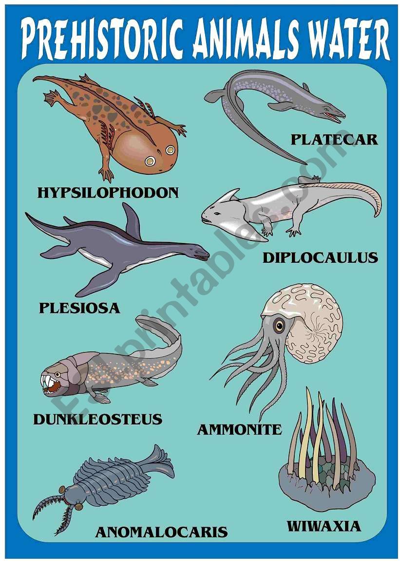 PREHISTORIC ANIMALS 3 - ESL worksheet by alekoty PREHISTORIC ANIMALS 3 - ESL worksheet by alekoty
