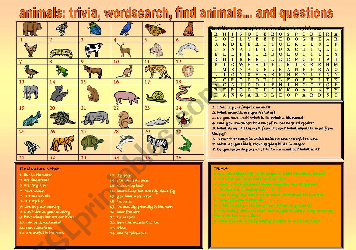 ANIMALS: TRIVIA, WORDSEARCH, FIND ANIMALS AND QUESTIONS